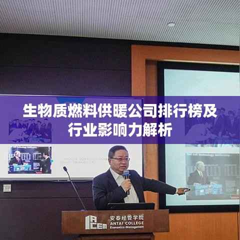 生物质燃料供暖公司排行榜及行业影响力解析