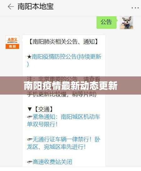 南阳疫情最新动态更新