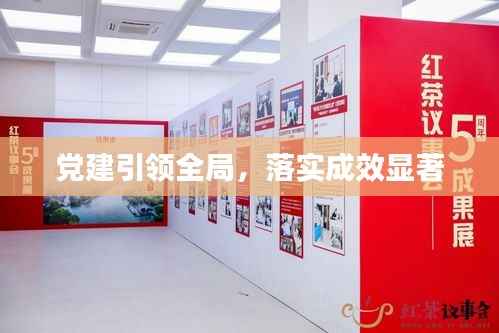 党建引领全局,落实成效显著