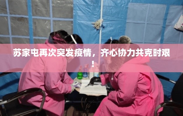 苏家屯再次突发疫情,齐心协力共克时艰!