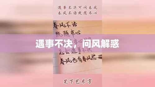 遇事不决,问风解惑