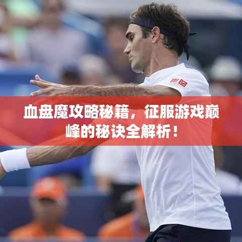 血盘魔攻略秘籍，征服游戏巅峰的秘诀全解析！