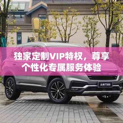 独家定制VIP特权,尊享个性化专属服务体验